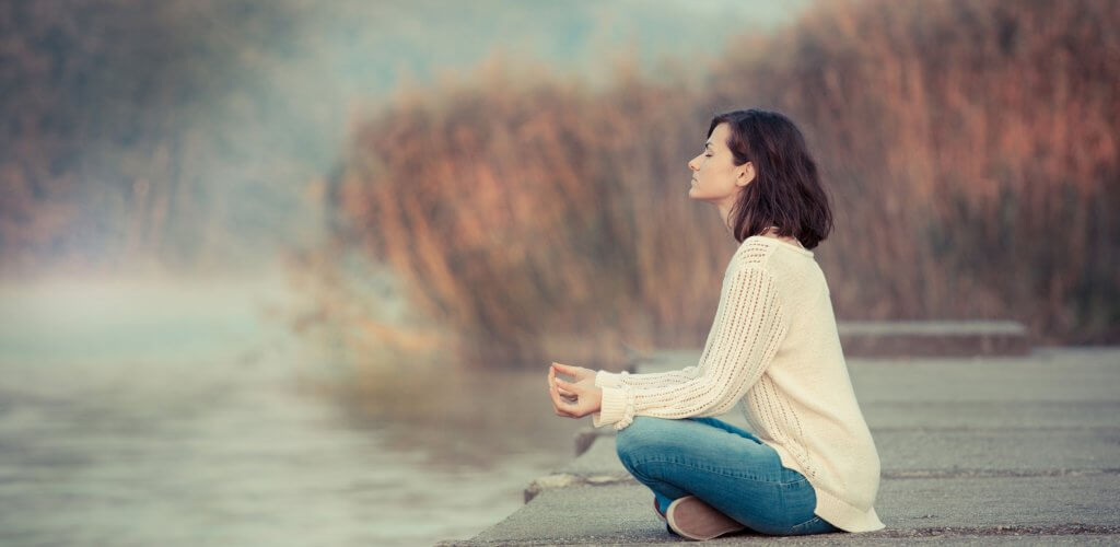 Main image for The Law of Attraction