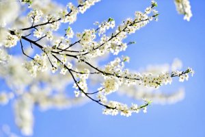 You might also like… thumbnail